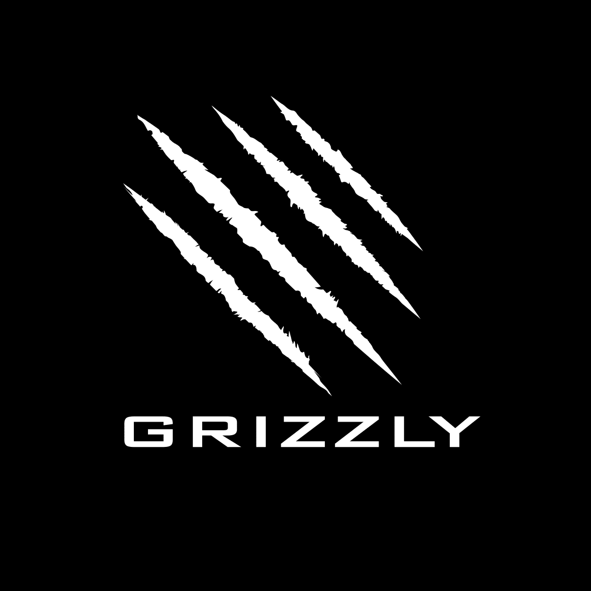 Grizzly Bear Sports partner image