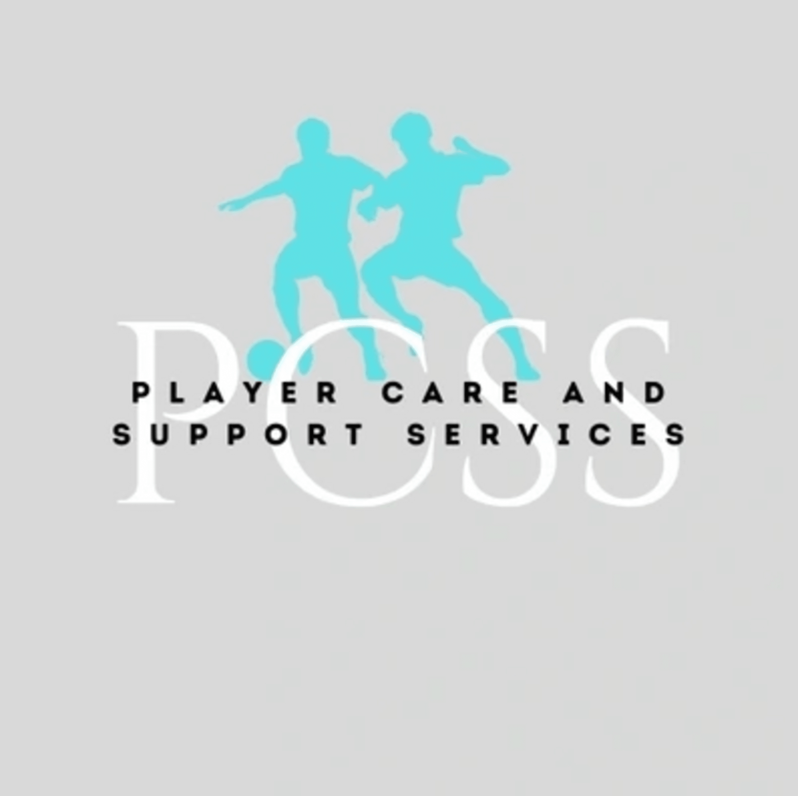Player Care & Support Services partner image
